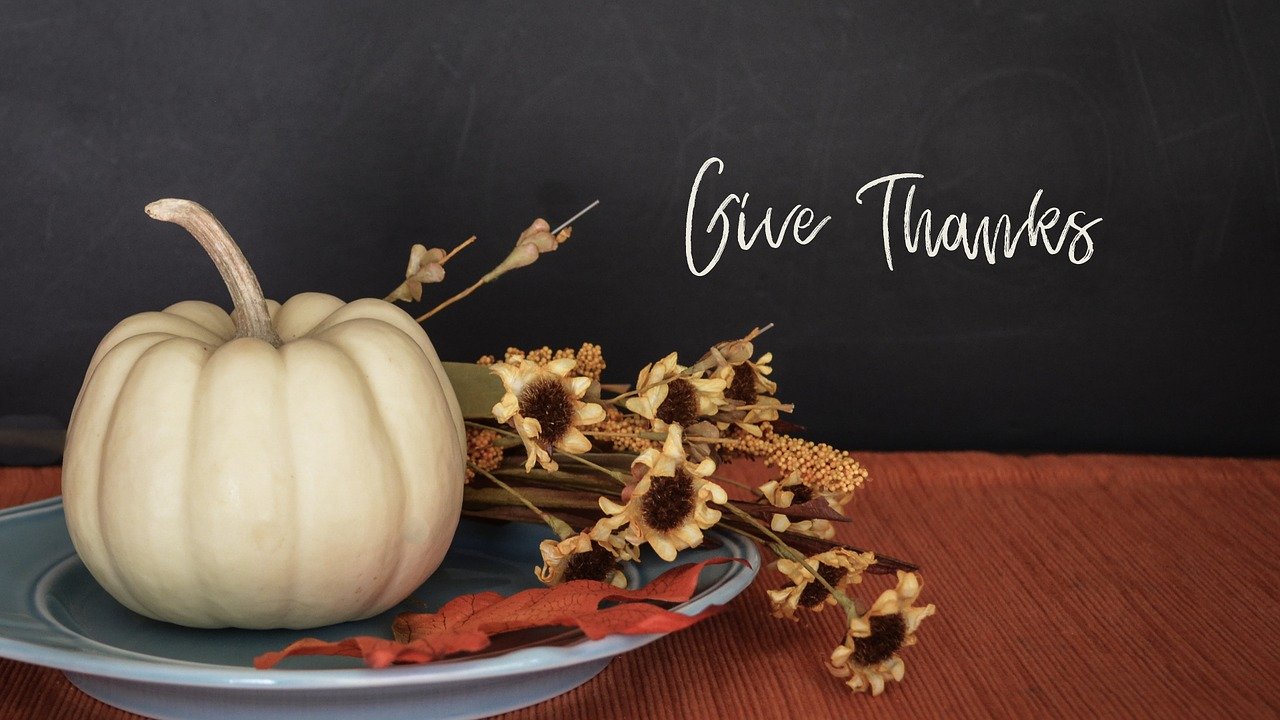 Thankful for HR Failures this Thanksgiving
